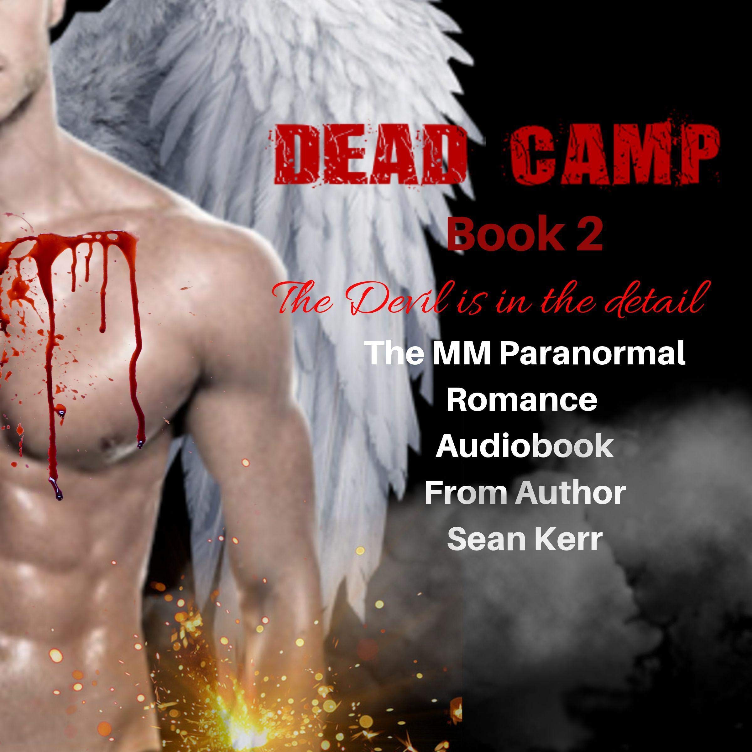 Cover art for Dead Camp 2