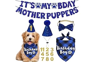 Puppy Mothers Birthday Bash Bonanza: Celebrating Canine Companionship