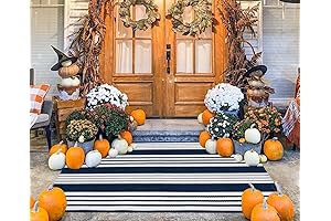 BUAGETUP Blue and White Outdoor Rug: Woven Perfection for Your Outdoor Spaces