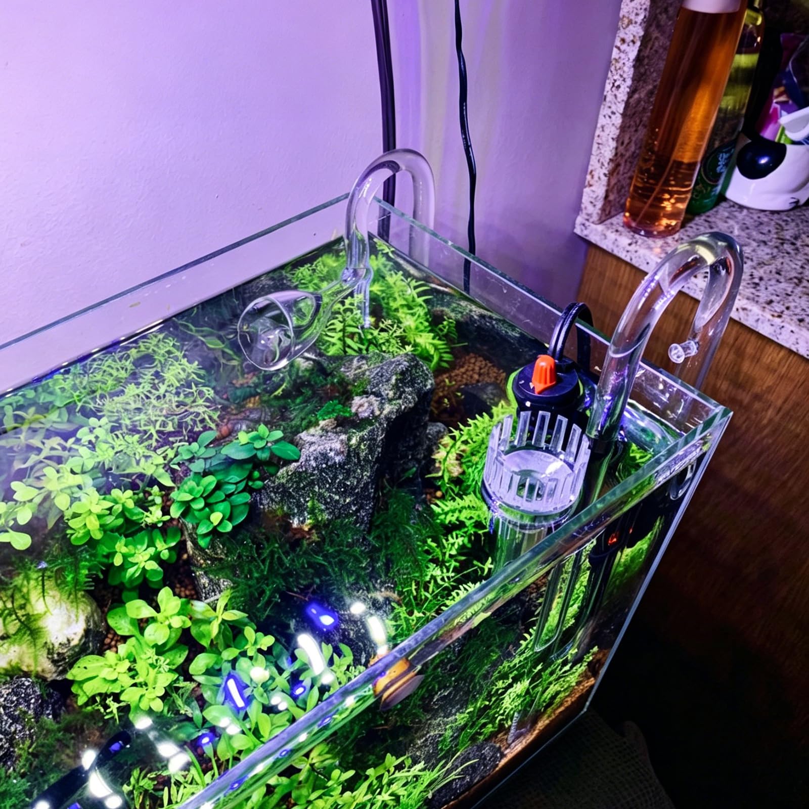 lalago Tube en Verre de Marque Lily Pipe de 17mm, Ecumoire d’Aquarium Arrivée et Sortie avec Les Tuyaux de Filtration de 16/22 mm (5/8" de Diamètre Intérieur), Tuyauterie de Filtration de Surface