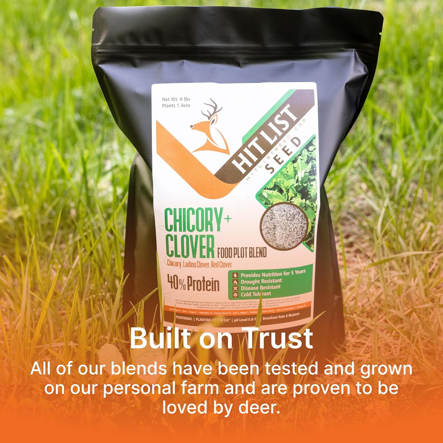 HIT LIST SEED® Chicory + Clover Food Plot Seeds for Deer [Perennial] - Deer Food Plot Seed Perennial - Deer Plot Seed Mix - Chicory, Ladino Clover, Red Clover - Spring, Summer & Fall Planting - 3 lbs