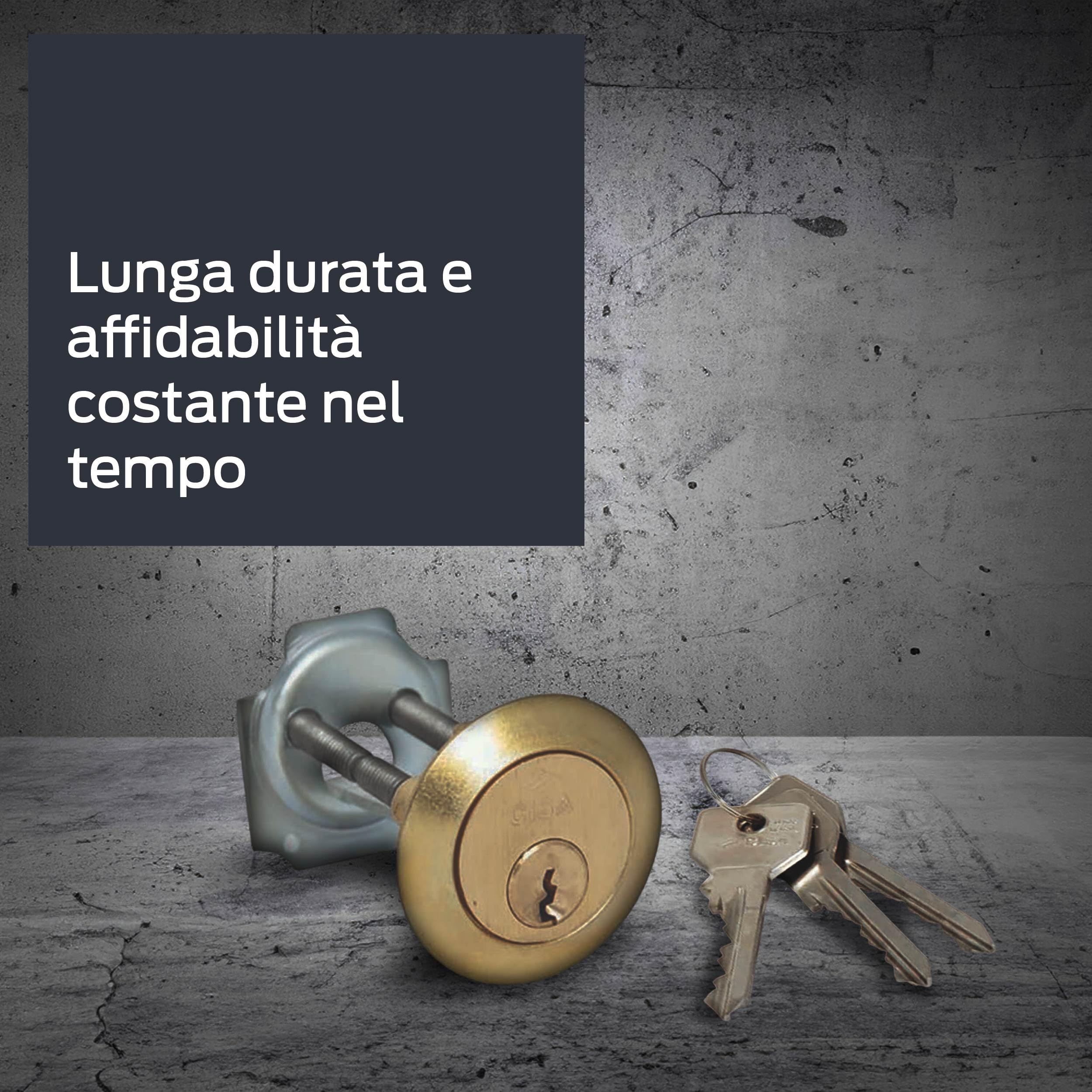 cisa-cerraduras 0 g500.00.0 – Cylindre SEG C2000 lat réglable avec lengñeta Cisa cisa-cerraduras 0 g500.00.0 – Cylindre SEG C2000 lat réglable avec lengñeta Cisa