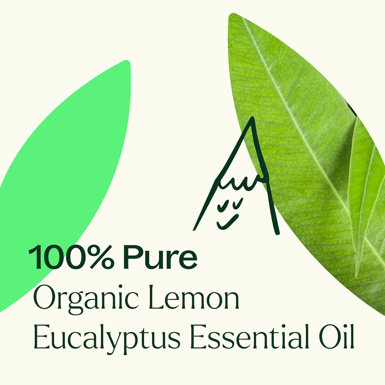 Plant Therapy Organic Lemon Eucalyptus Essential Oil 100% Pure, USDA Certified Organic, Undiluted, Natural Aromatherapy, Therapeutic Grade 30 mL (1 oz) - Image 5