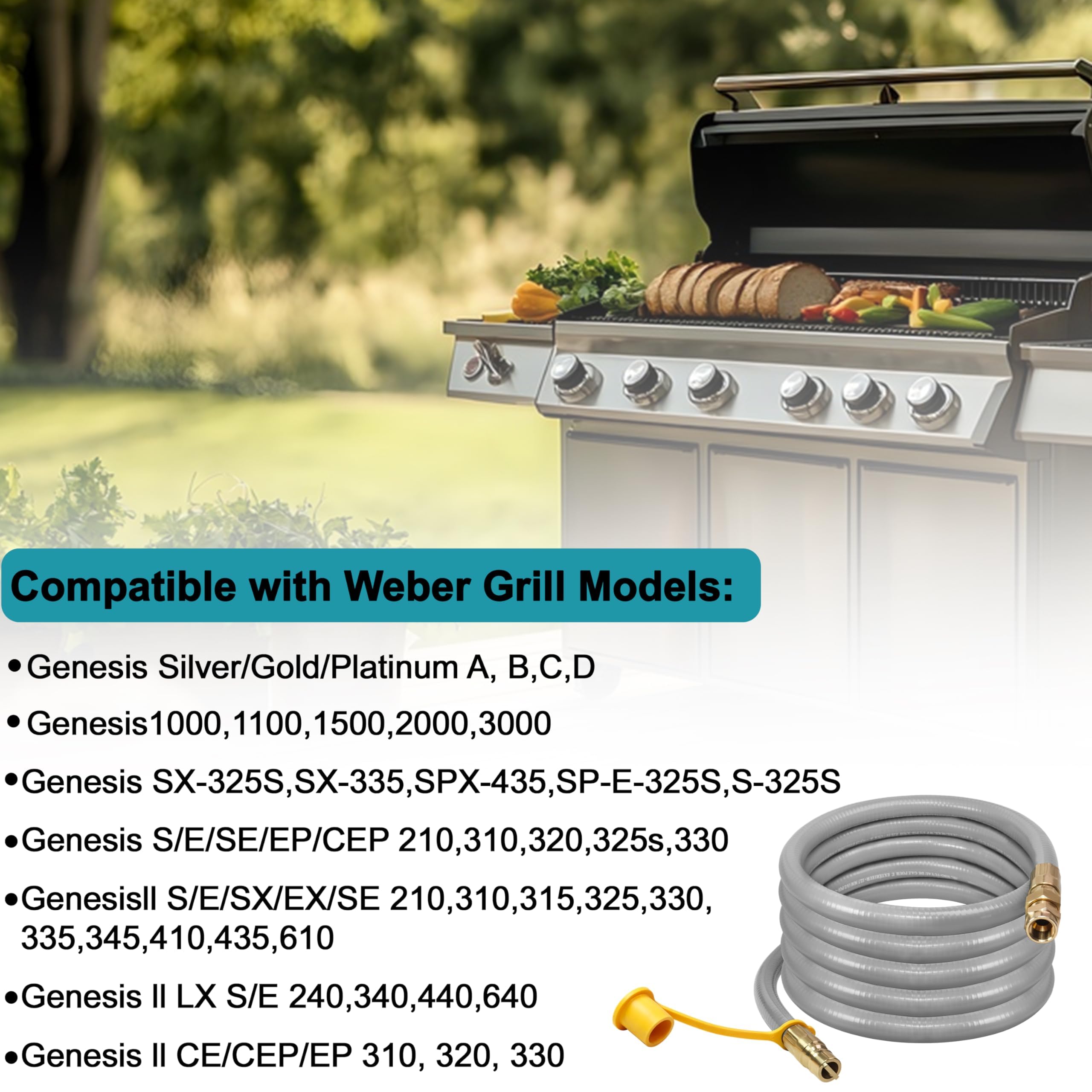 Kit de conversión de propano a gas natural de 10 pies para parrillas Weber Genesis, Genesis II, Spirit, Spirit II, incluye manguera de gas natural de 1,27 cm con regulador y orificio