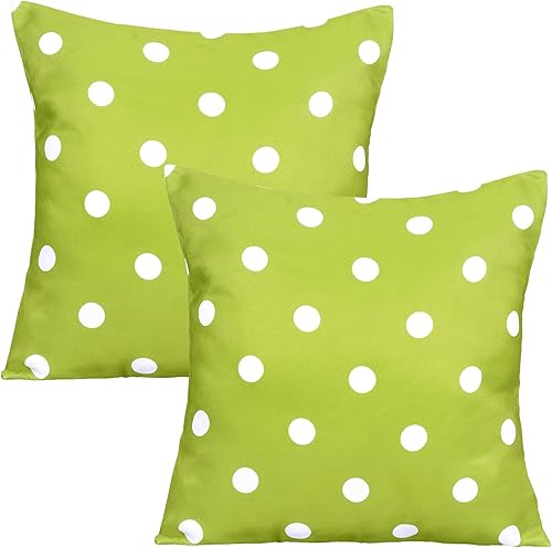 Miniatura 1 de Poise3EHome Juego de 2 fundas de almohada para exteriores de 20 x 20 pulgadas, impermeables, decorativas, para sofá, patio, sala de estar, primavera
