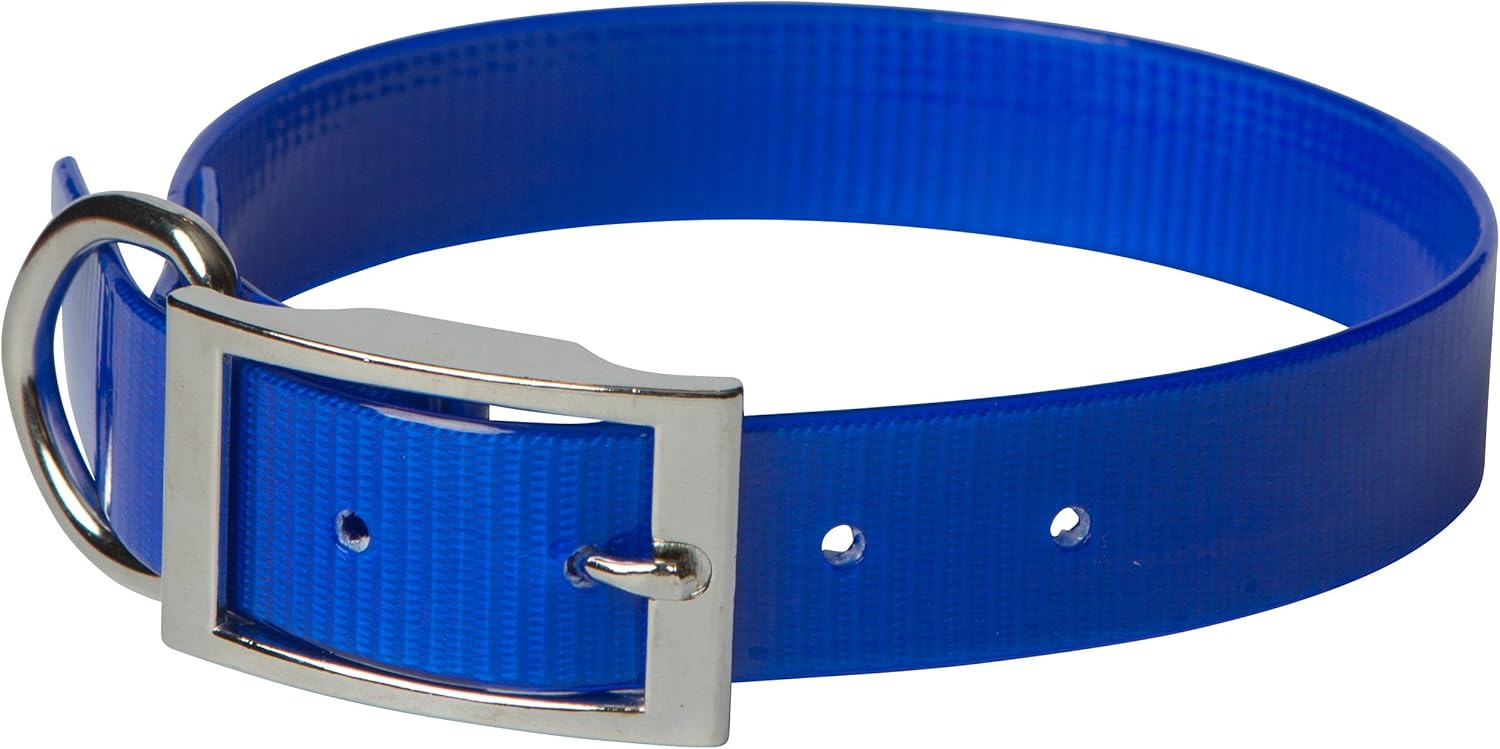 Alfaw OmniPet Sunglo Regular Dog Collar, 3/4 x 20, Blue