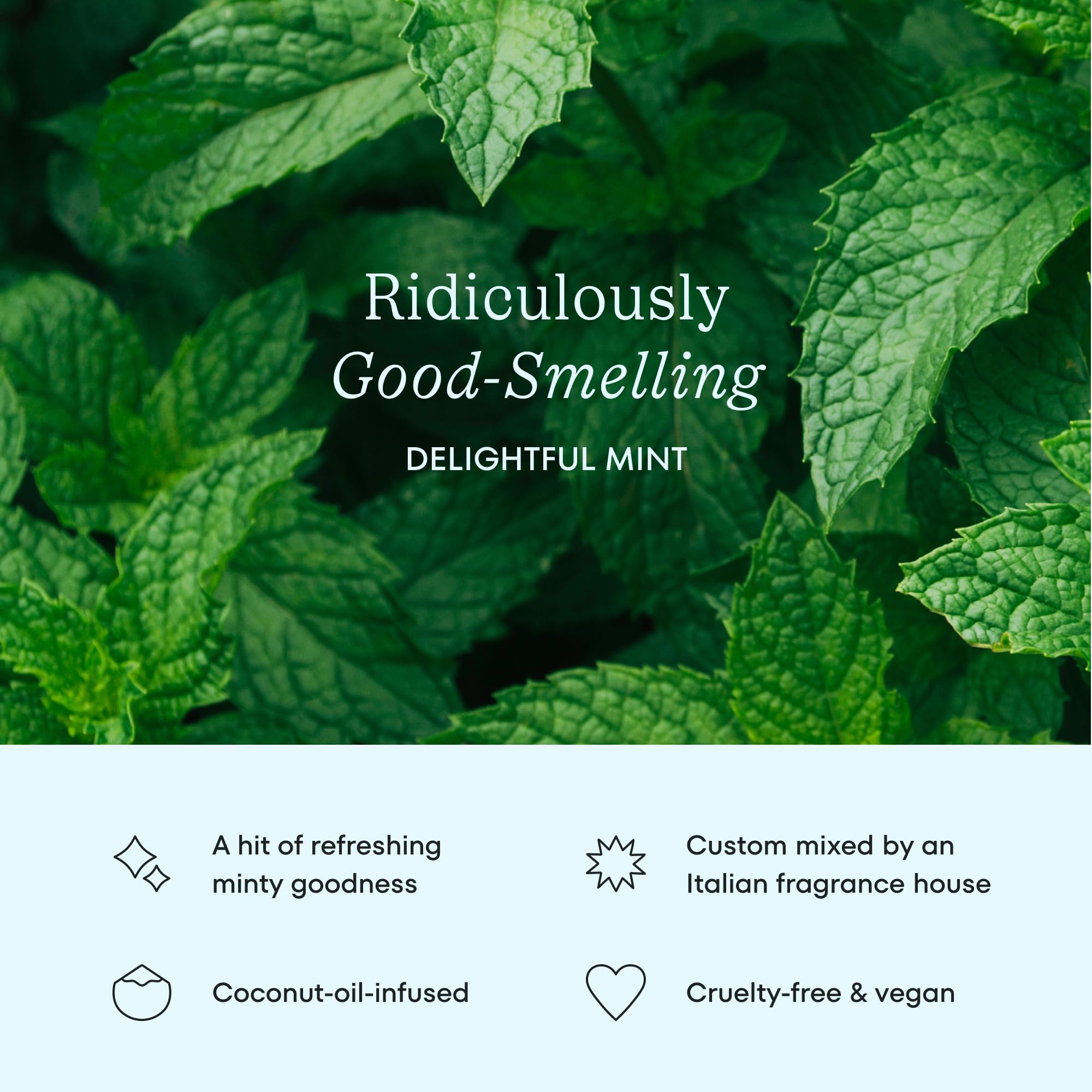 COCOFLOSS Coconut-Oil Infused Woven Dental Floss | Mint | Dentist-Designed | Vegan and Cruelty-Free | 8 month Supply (32 Yds x 4 Units)