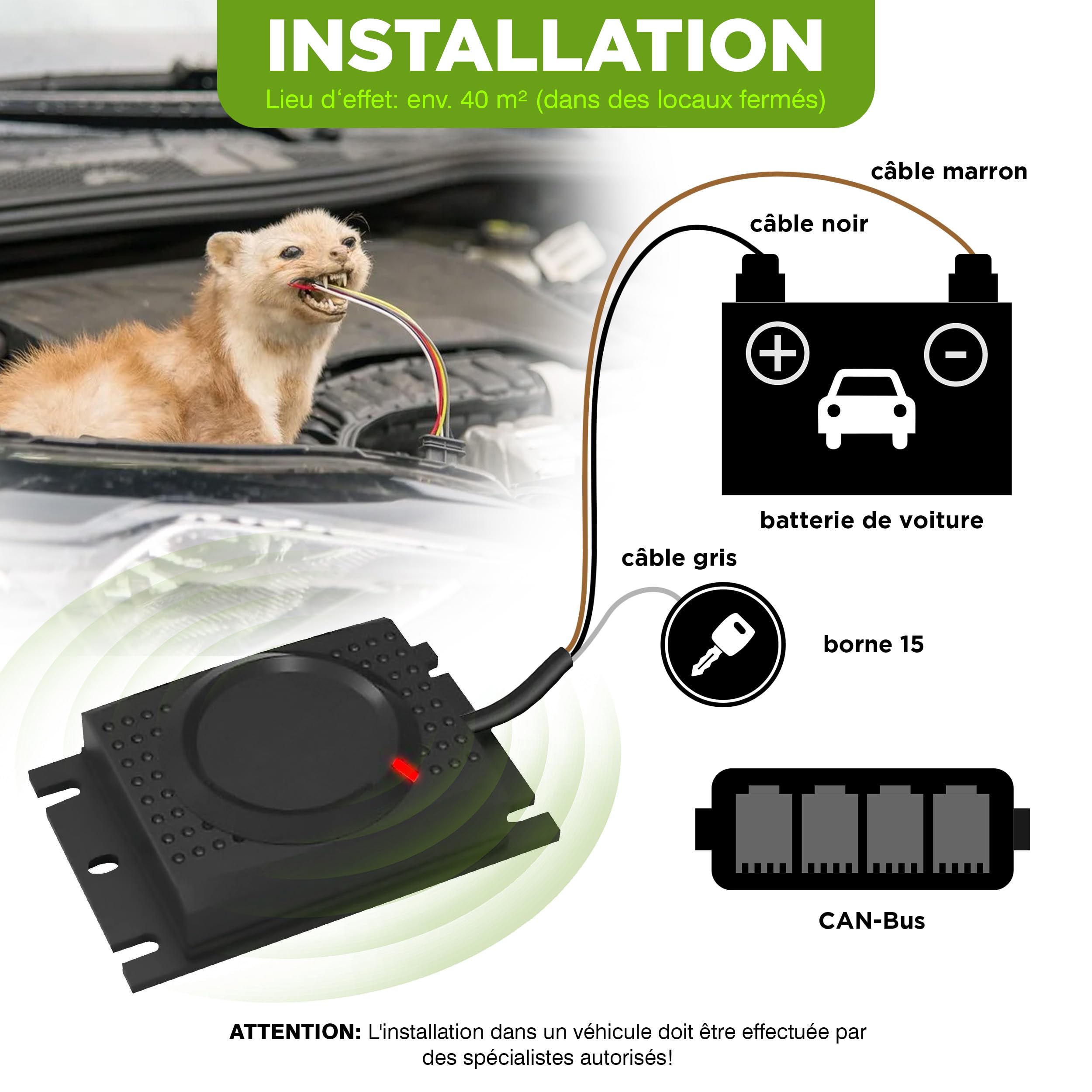 ISOTRONIC Répulsif Contre Les Martres, Souris et Les Rats avec Batterie 12V - Répulsif chassant pour Protection Voiture à Ultrason - Installation Facile et Effet Durable