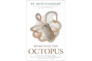 Secrets of the Octopus: A Deep Dive Into the World of Marine Life