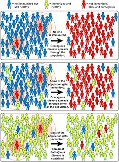 Herd Immunity Poster Print by Science Source (24 x 36)