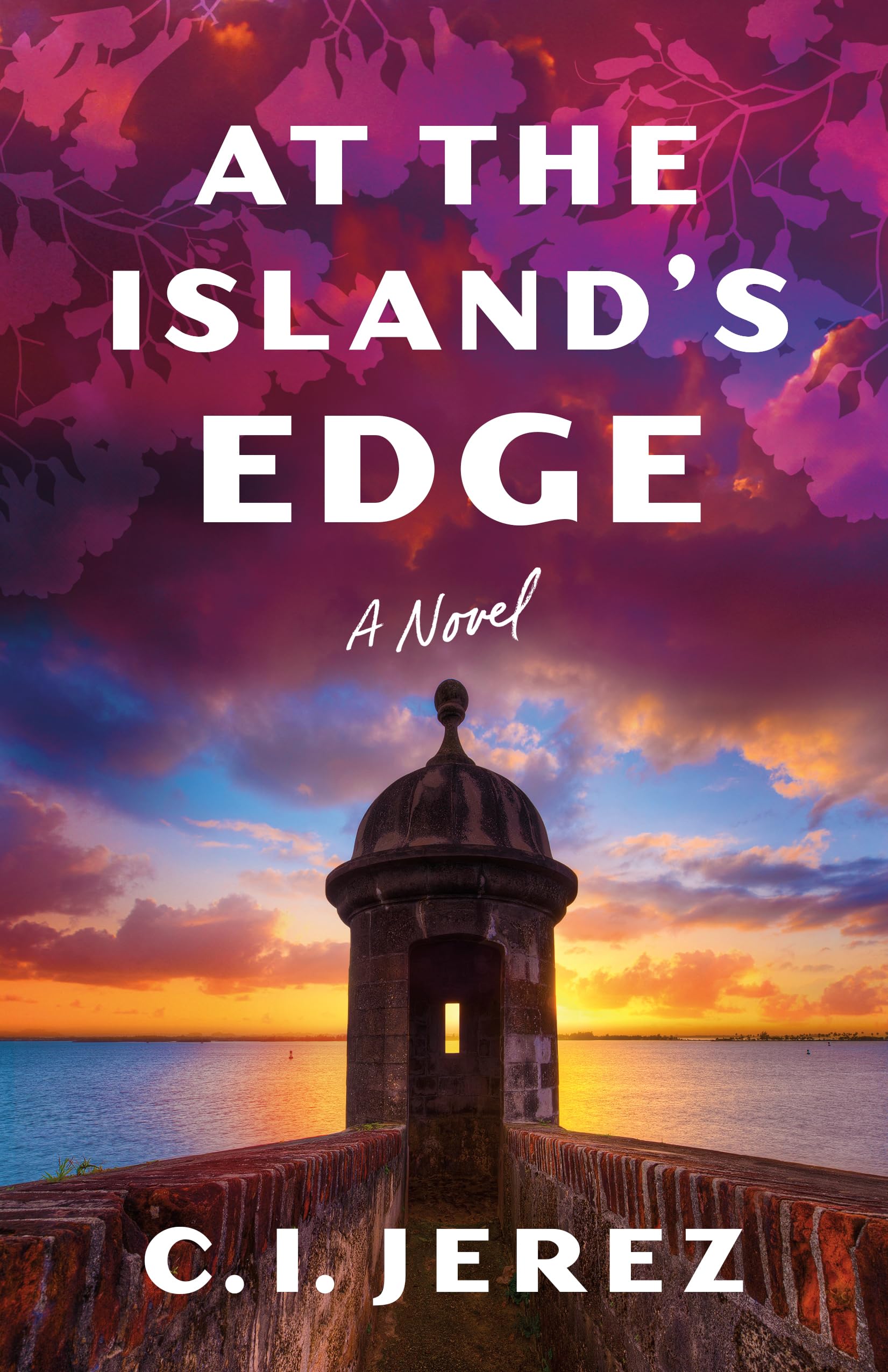 At the Island's Edge: A Novel