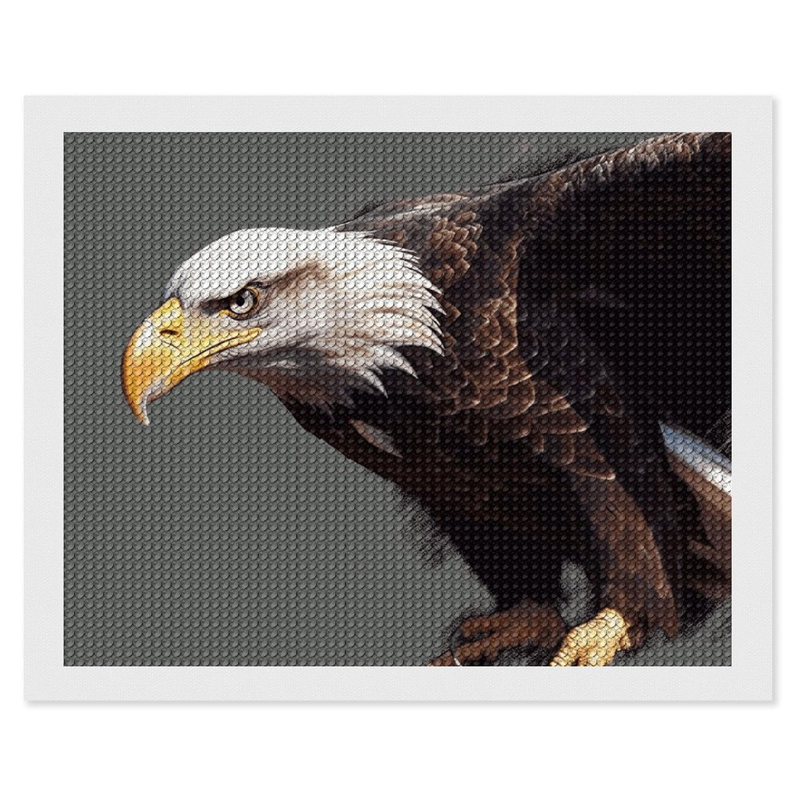 NONHAI Diamond Painting Kits for Adults - DIY Diamond Art Kits for Beginners - Full 5D Paint Drill Diamond Dots Paintings- Eagle Diamonds Pictures Gem Art and Craft Wall Decor 16"x20"