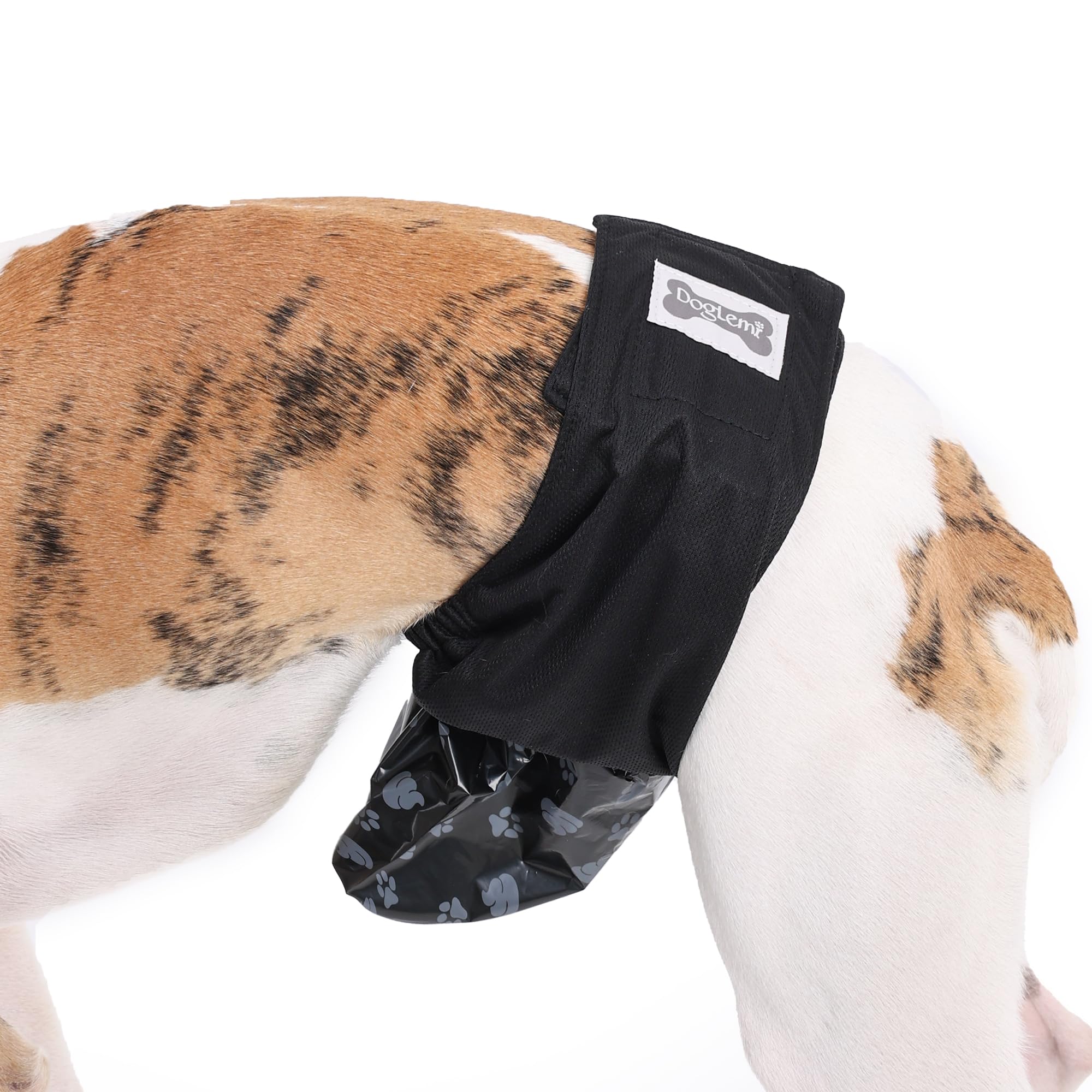 Verstellbare Windeln für männliche Hunde, auslaufsicher, automatische Hundekot-Sammelhose mit 50 Einwegkotbeuteln, bequem, atmungsaktiv, Bauchbänder, Unterwäsche (XL)