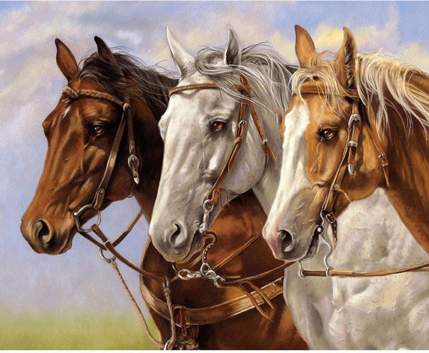 Ride The Range Three of a Kind 36 x 43 1/2 Panel PD12747-THREE from Riley Blake by The Panel