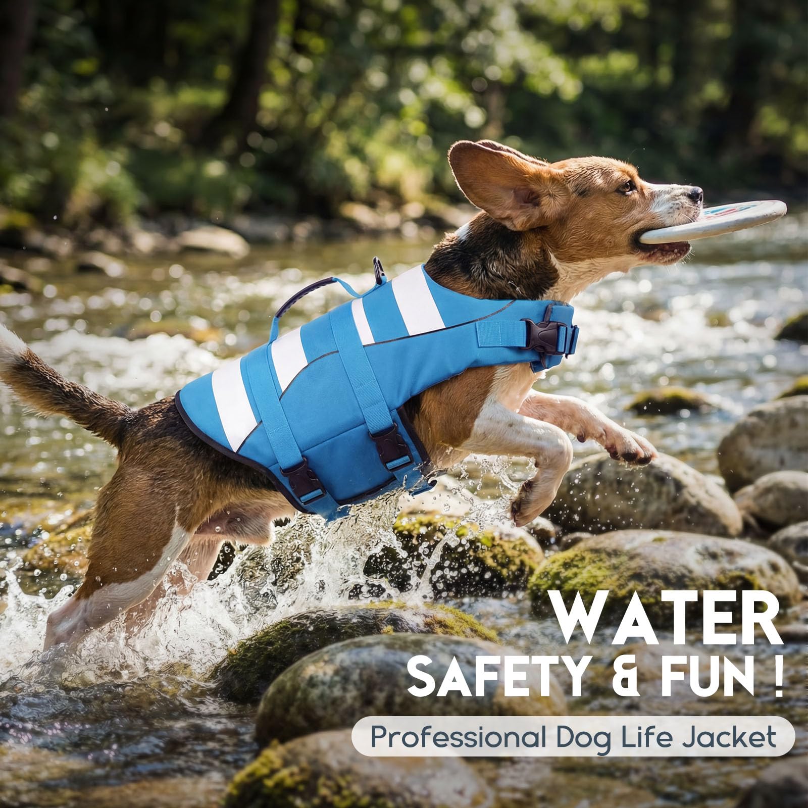 ASENKU Chaleco Salvavidas para Perro, Chaleco Flotador Perro, Chalecos Flotantes Ajustable para Perros con Asa, Chaleco Salvavidas para Perros Pequeños, Medianos y Grandes, XS