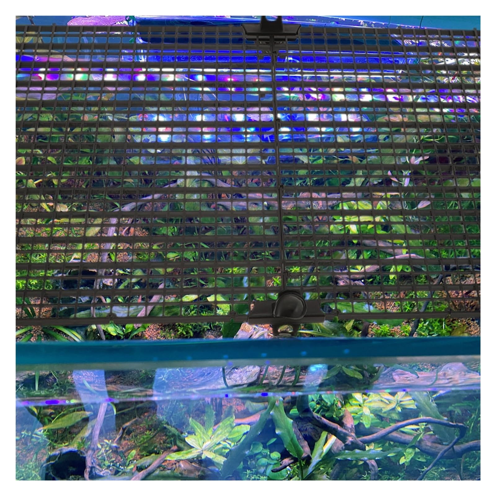 Divisor para Acuario 2 Placas de Escape for pecera 30 x cm, Separador Acuario, Cubierta Rejilla Aislante