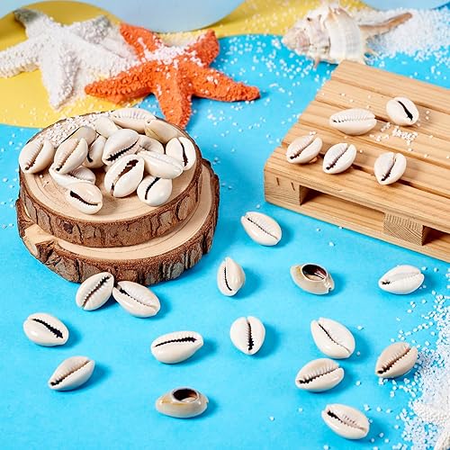 Vista 156 de Cheriswelry 50 cuentas de concha galvanizadas, conchas de cauri en espiral, conchas de mar, verano, playa, cuentas espaciadoras sueltas