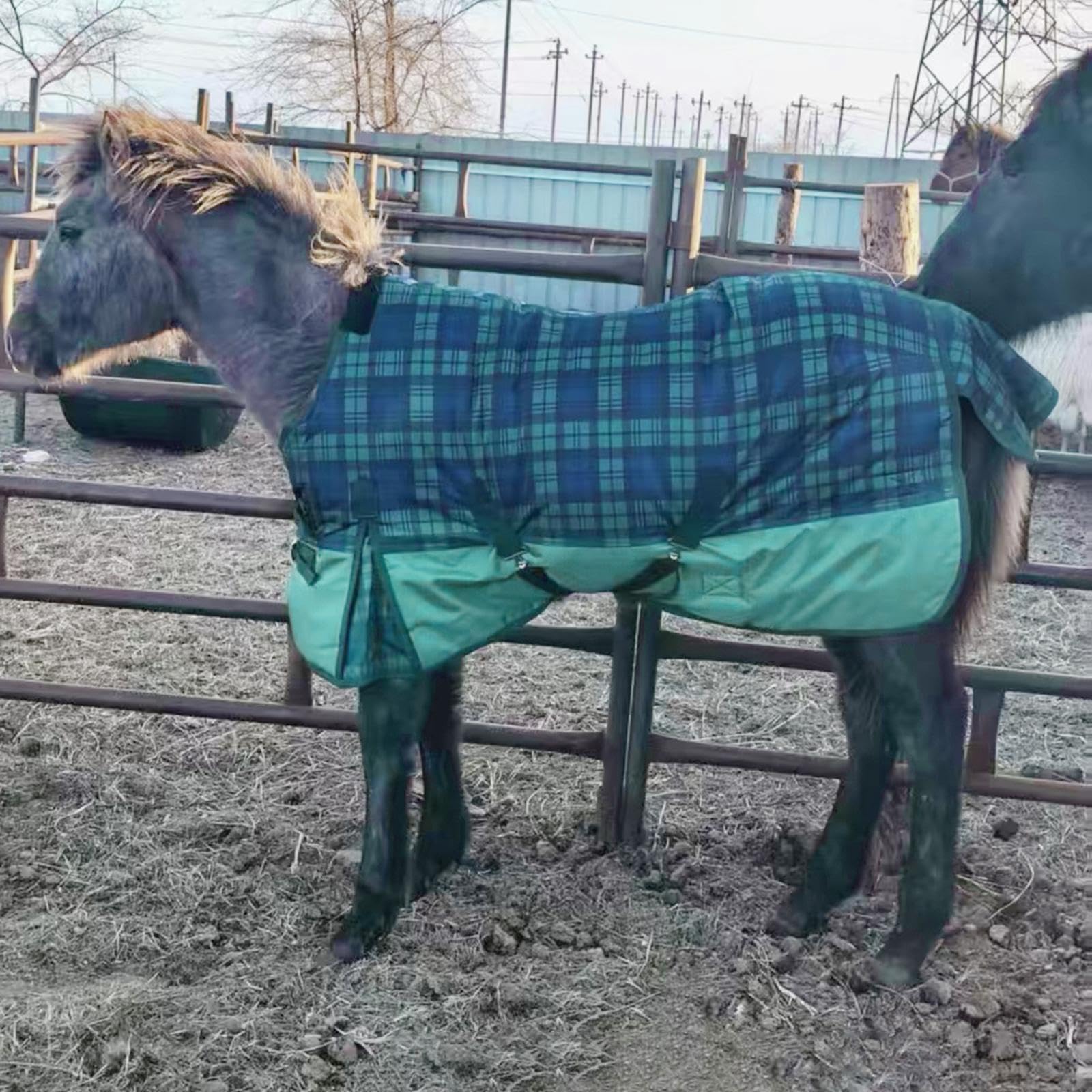 Manta de Invierno para Caballos, Tejido Oxford Resistente Al Desgarro, Aislamiento Térmico, Impermeable, Transpirable, Fácil Instalación, Adecuada Par