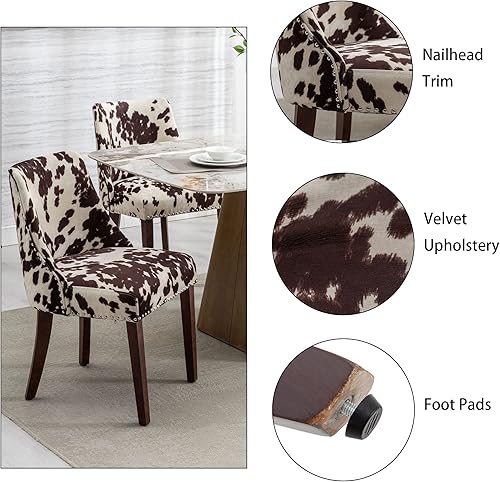 Miniatura 7 de DM Furniture Juego de 2 sillas de comedor modernas de mediados de siglo, sillas de terciopelo tapizadas, sillas auxiliares de madera para sala de