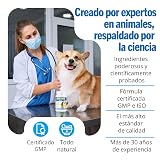 Ver la foto 6