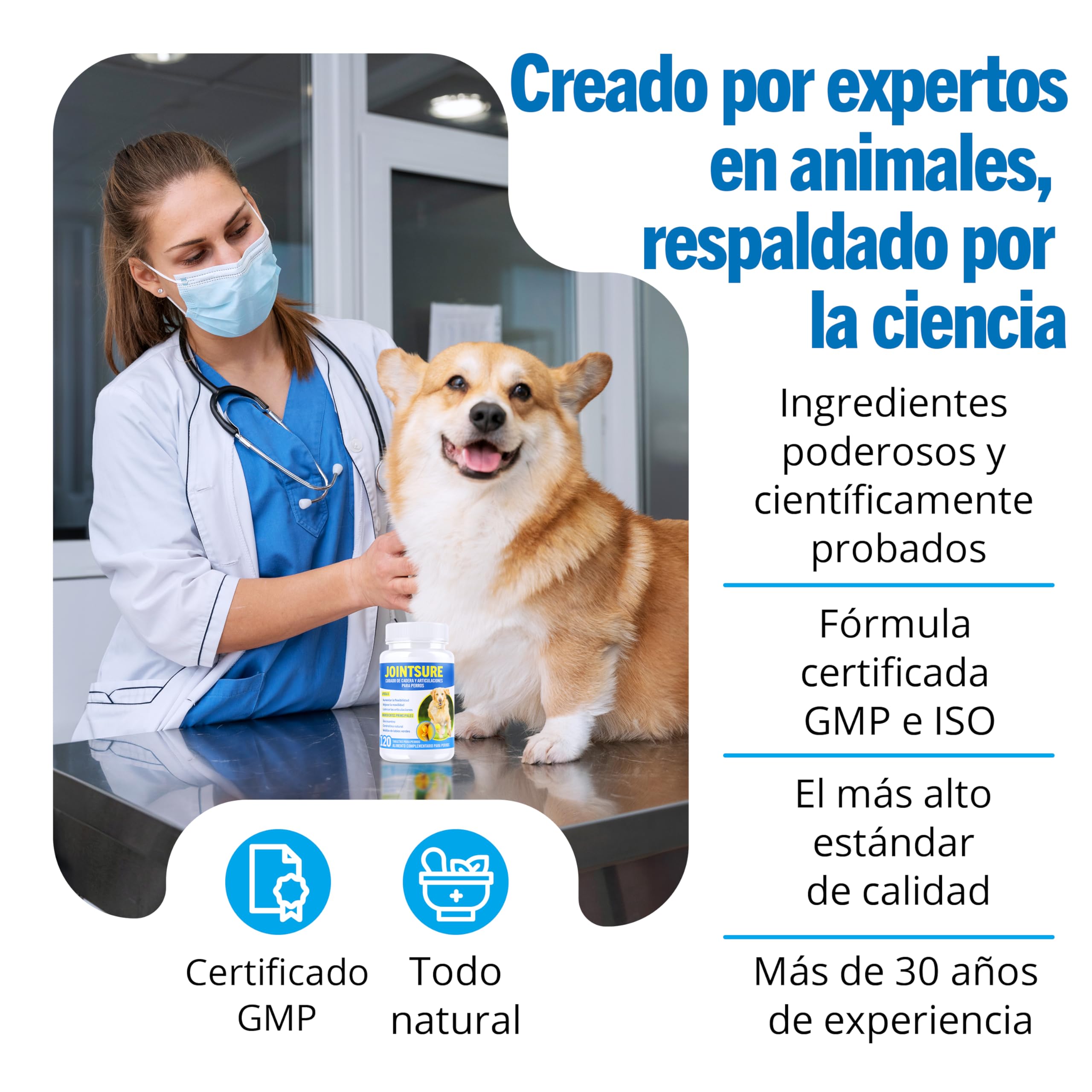 JOINTSURE condroprotector Perros I con Gran concentración de mejillon Labios Verdes, glucosamina y condroitina Natural I suplemento antiinflamatorio para articulaciones I 300 Comprimidos