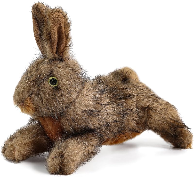 ALL FOR PAWS Squeaky Dog Toys, Dog Stuffed Animal Toys, Plush Toy for Small Medium Large Dogs, Puppy Chew Toy with Squeaker, Brown Rabbit-S | Plush Toy for Small Medium Large Dogs, Puppy Chew Toy with Squeaker, Brown Rabbit-S