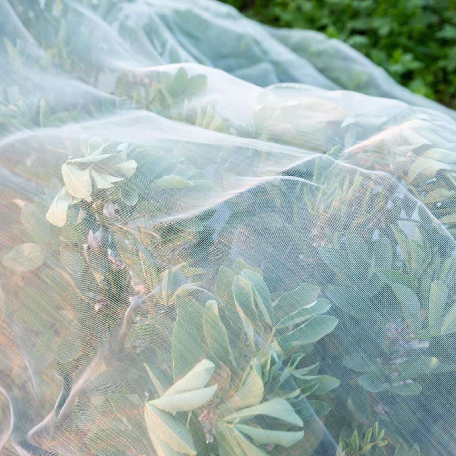 Rete per insetti a maglie strette， Garden Netting Plants Vegetables Fruits Flowers Protection Insects Birds White Multiple Sizes(1.5x10m/4.9x32.8ft)