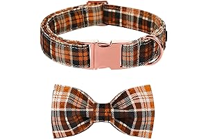 Lionet Paws Cute Cotton Halloween Dog Bow Tie Collar for Fall