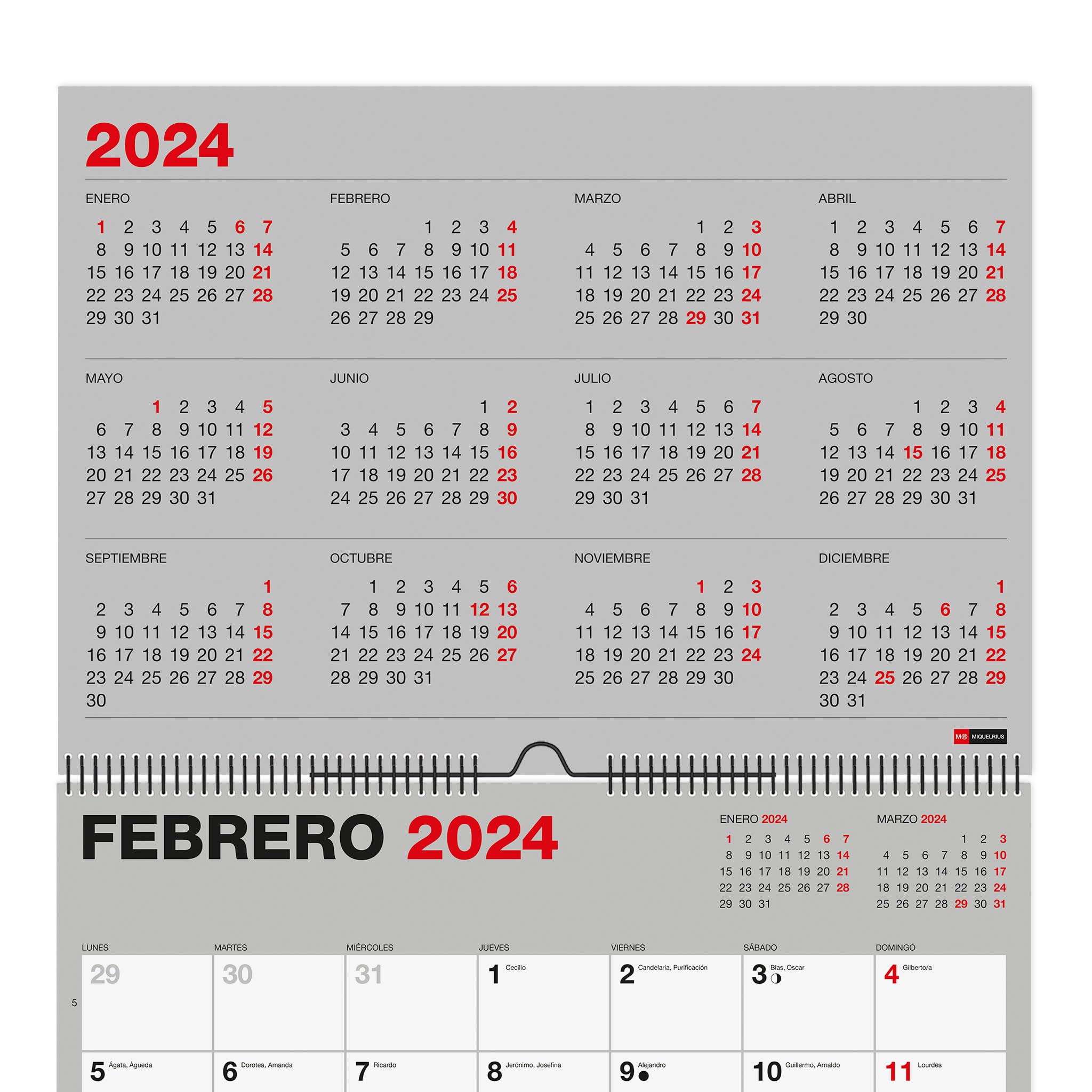 Miquelrius Wandkalender 2026, Jahresplaner, 155 X 430 Mm, Mit Notizfeld