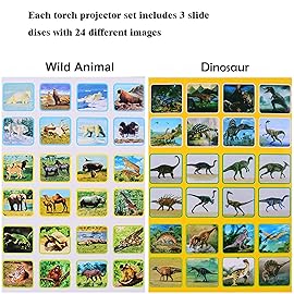 Georgie Porgy Children Projector Toys Educational Science Set Wall Ceiling Tent Torch Flashlight for Kids Gifts for Boys Girls (Dinosaur + Wild Animal)