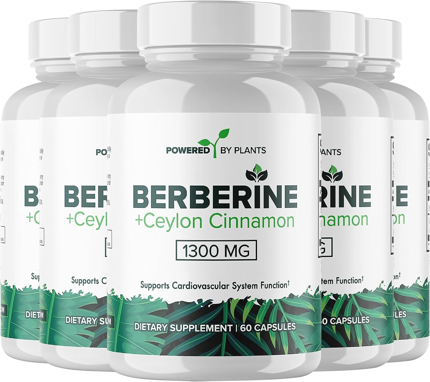 Pure Berberine Supplement - 1300mg Berberine with Ceylon Cinnamon for Metabolism & Immune System Support - 5 Pack, 300 Servings