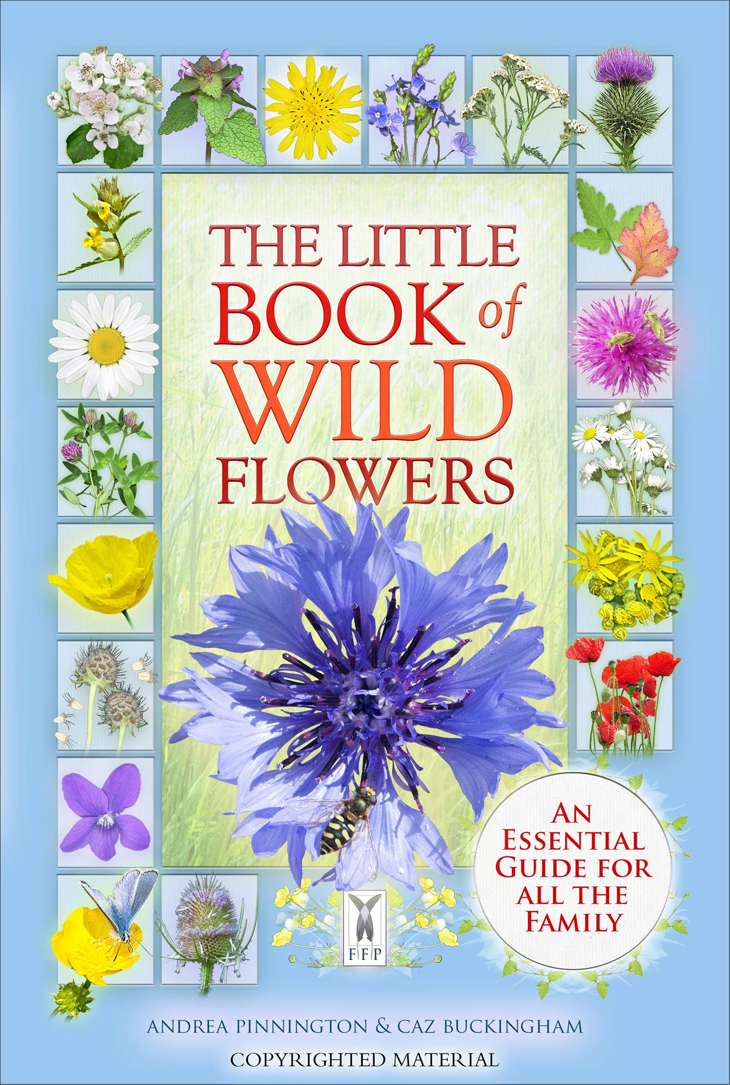 Fine Feather Press Ltd The Little Book of Wild Flowers