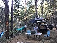 Review Image by Donald P. Donald P.