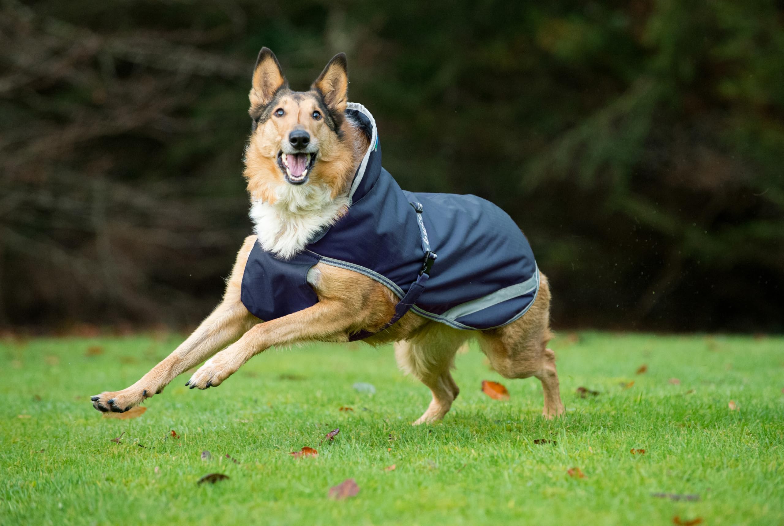 Bucas Hundemantel Freedom, Blau, Größe XXL, Länge 60 cm, Halsumfang 64 cm