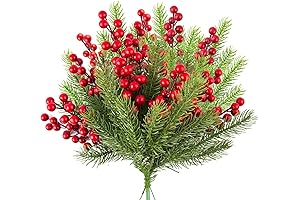 WXJ13 Christmas Plants