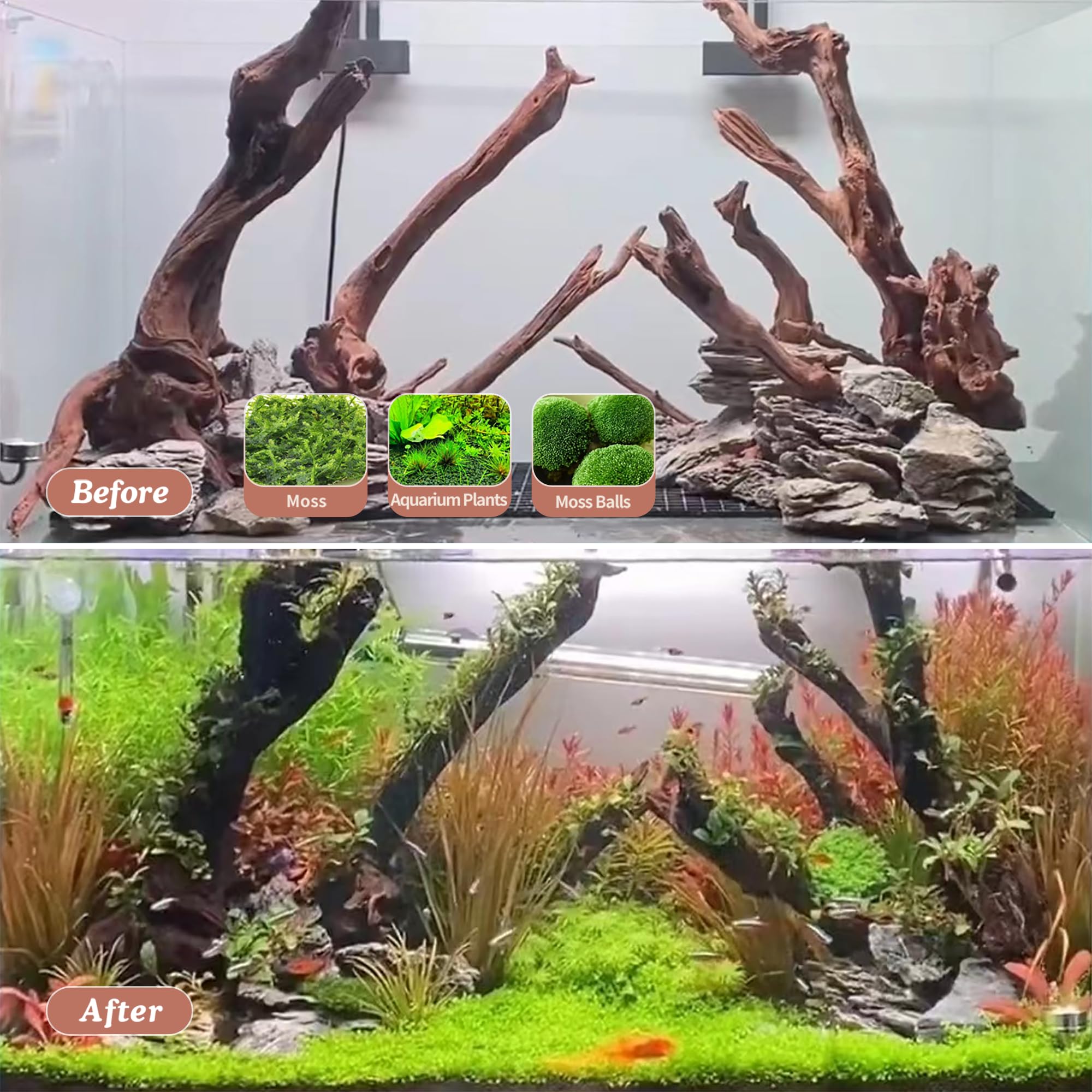 Drift Wood For Aquariums Wholesale Driftwood Premium Quality For