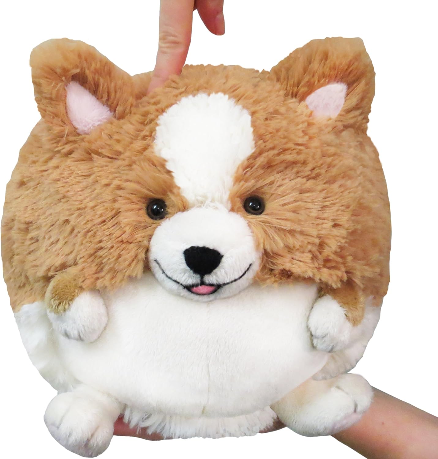 corgi hot dog squishy