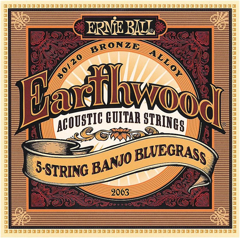 Ernie Ball Earthwood 5-string Banjo 80/20 Bronze Loop End Bluegrass Set, 009 - .020
