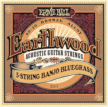 Ernie Ball Earthwood 5-String Bluegrass 80/20 Bronze Banjo Strings, 9-20 Gauge (P02063)