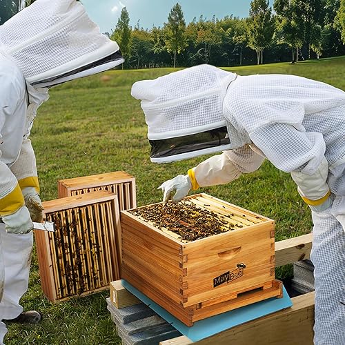 Miniatura 2 de Colmena Langstroth de 10 marcos sumergida en cera de abejas 100%, kit completo de iniciación de colmenas y suministros de abejas, incluye 2 cajas de
