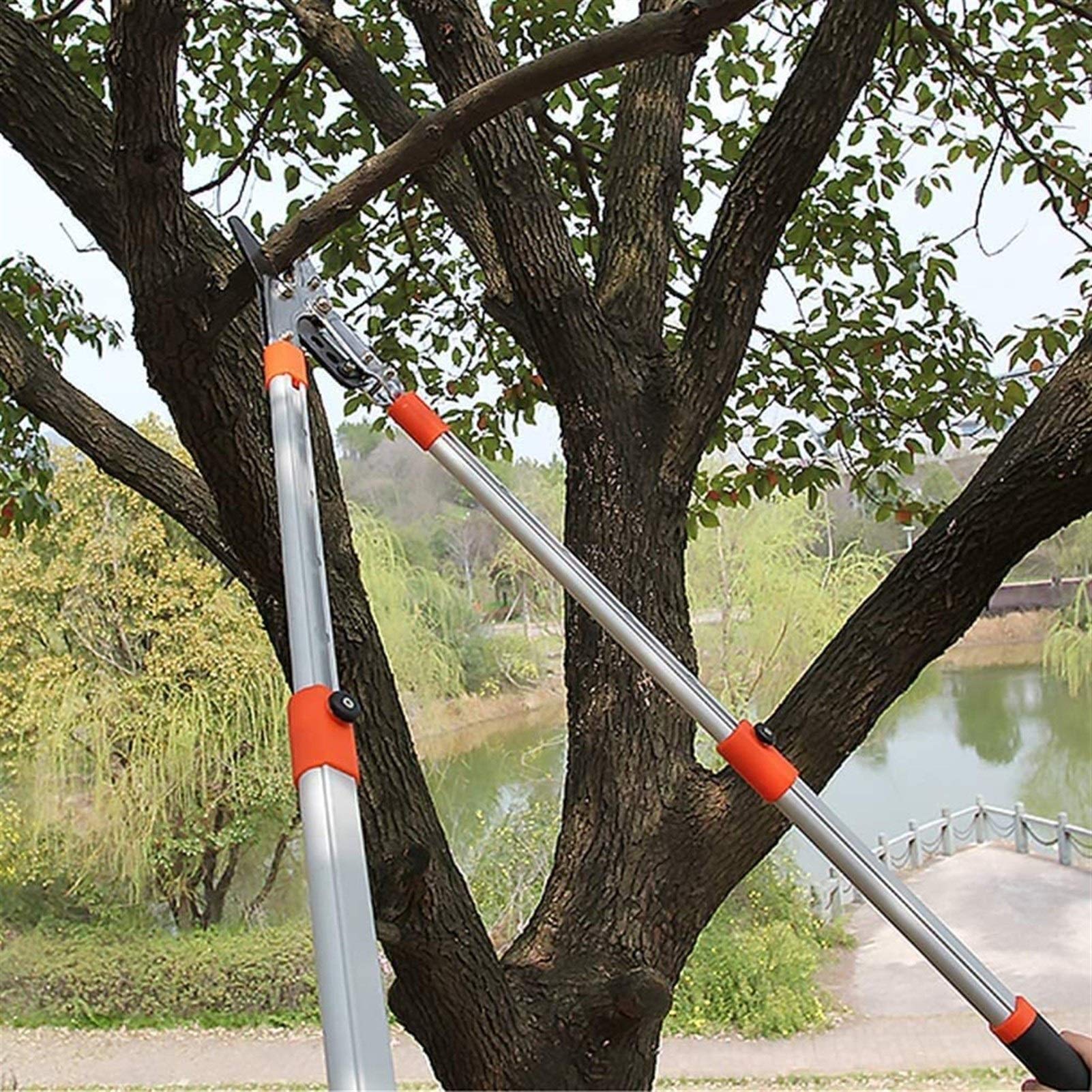 Cesoie da Giardinaggio Cesoie da potatura a Incudine telescopiche, cesoie per Alberi da frutto per Tagliare Rami Spessi, impugnature comode ()