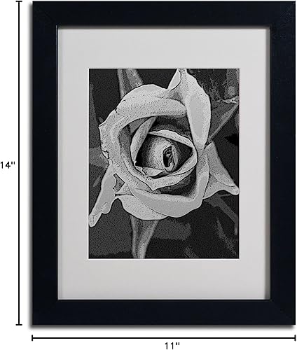 Miniatura 6 de Trademark Fine Art Patty Tuggle - Arte enmarcado de rosas blancas y negras con marco negro, 11 x 14 pulgadas