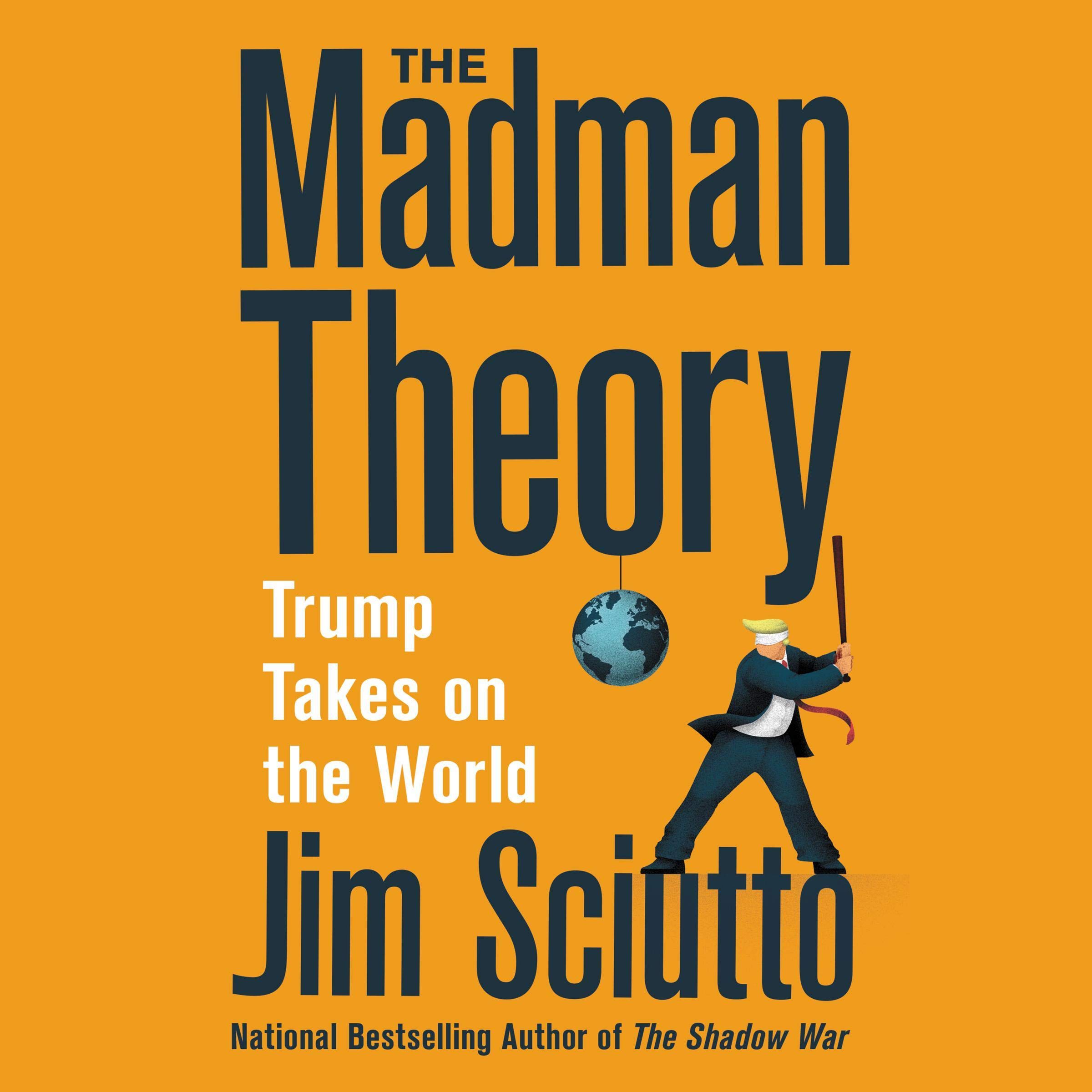 Cover art for The Madman Theory