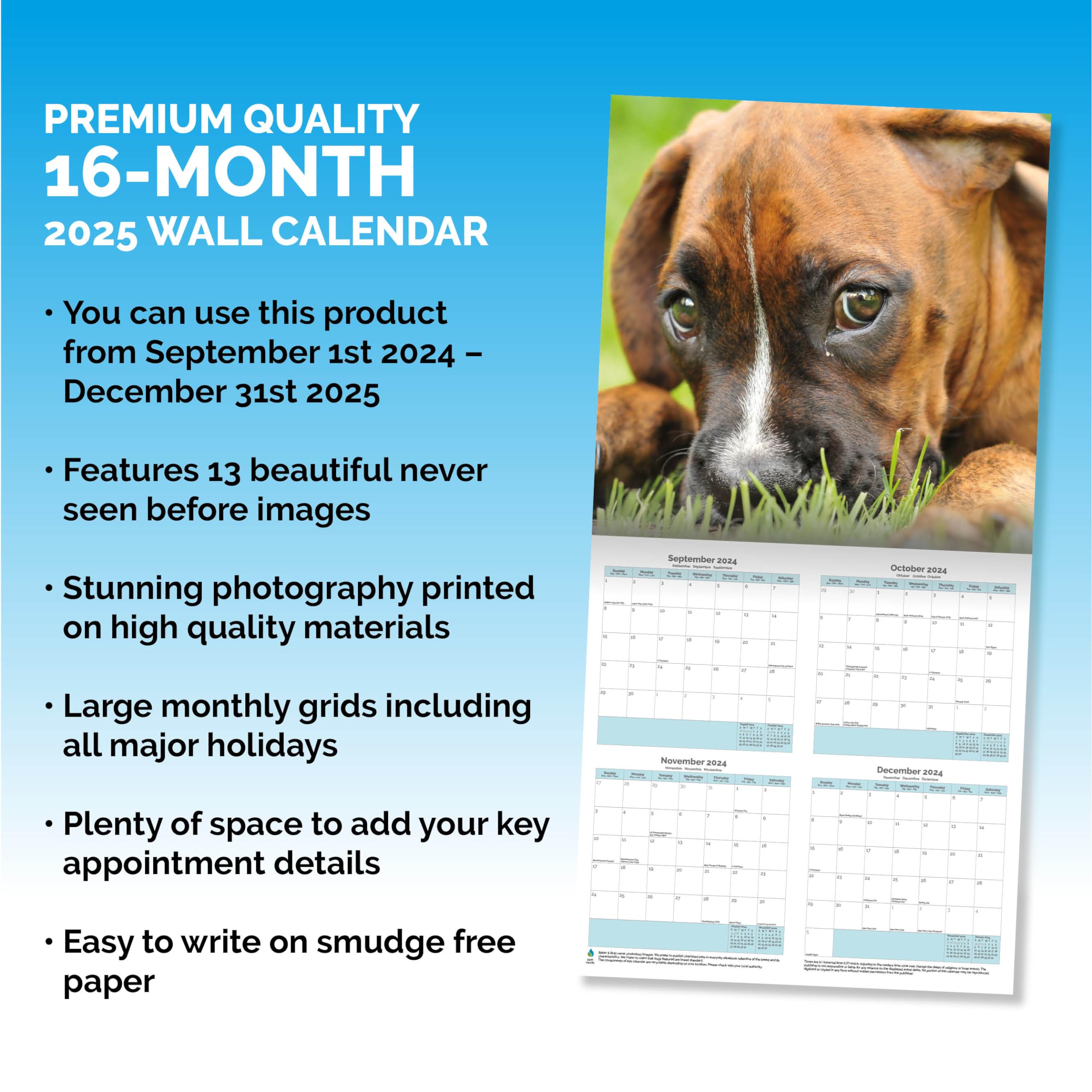 Baker and Bray Boxer Dog Puppies Calendar 2026, Large Square Wall Calendar With Organisational Stickers, 16 Month - Image 3