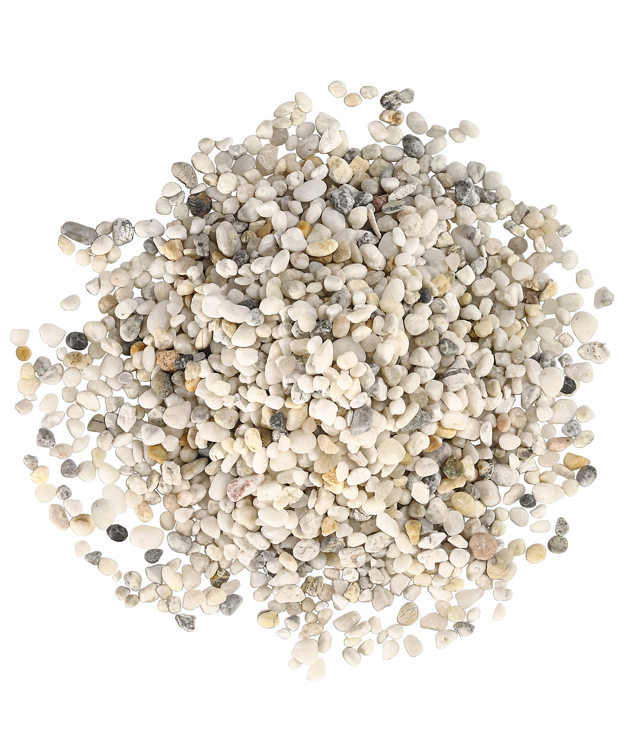 Dehner Aqua żwir, ziarnistość 2-4 mm, 5 kg, biały