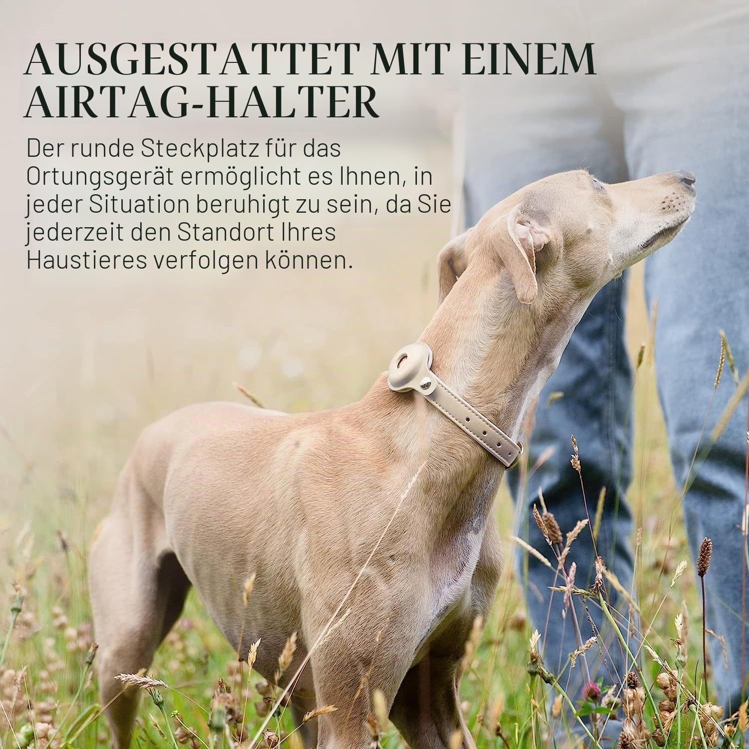 Nina Woof Cupertino Hundehalsband aus veganem Leder, gepolstert und verstellbar mit Tracker-Halterung, Beige, Größe M (Hals 38-48 cm)