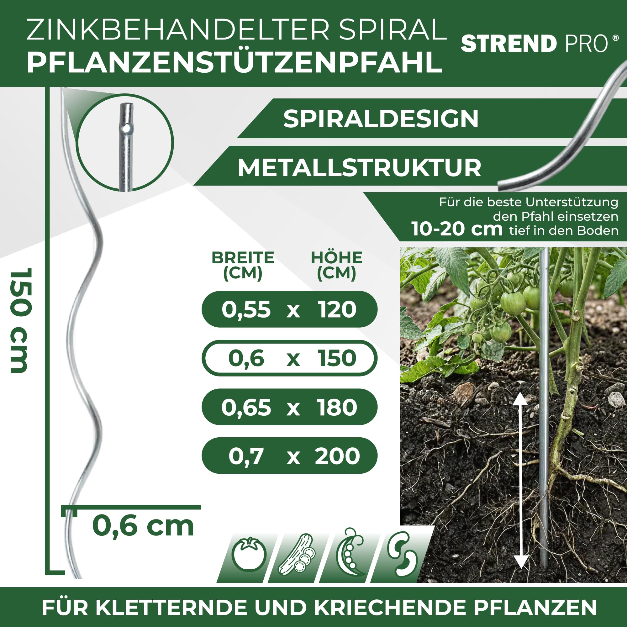 STREND PRO Tomatenstäbe 150 cm - 25 STK. | Spiralstab Ø 6 mm Verzinkter Stahl | Pflanzstab, Tomatenstütze, Rankhilfe, Stangen für Tomaten | Rankstab Metall | Spiral Bohnenstange Pflanzenstütze groß