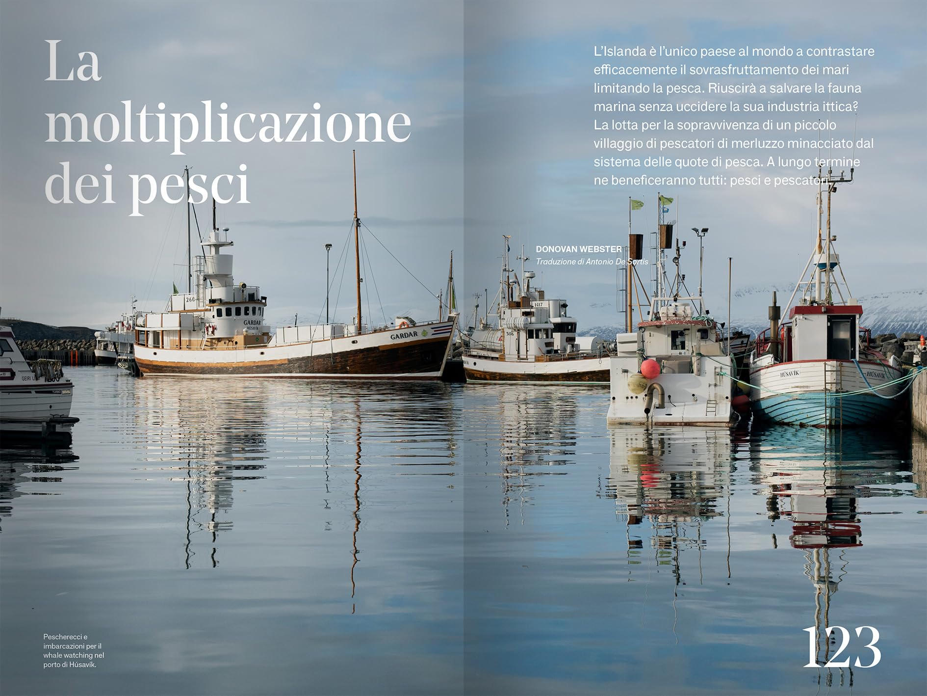 Islanda. The passenger. Per esploratori del mondo