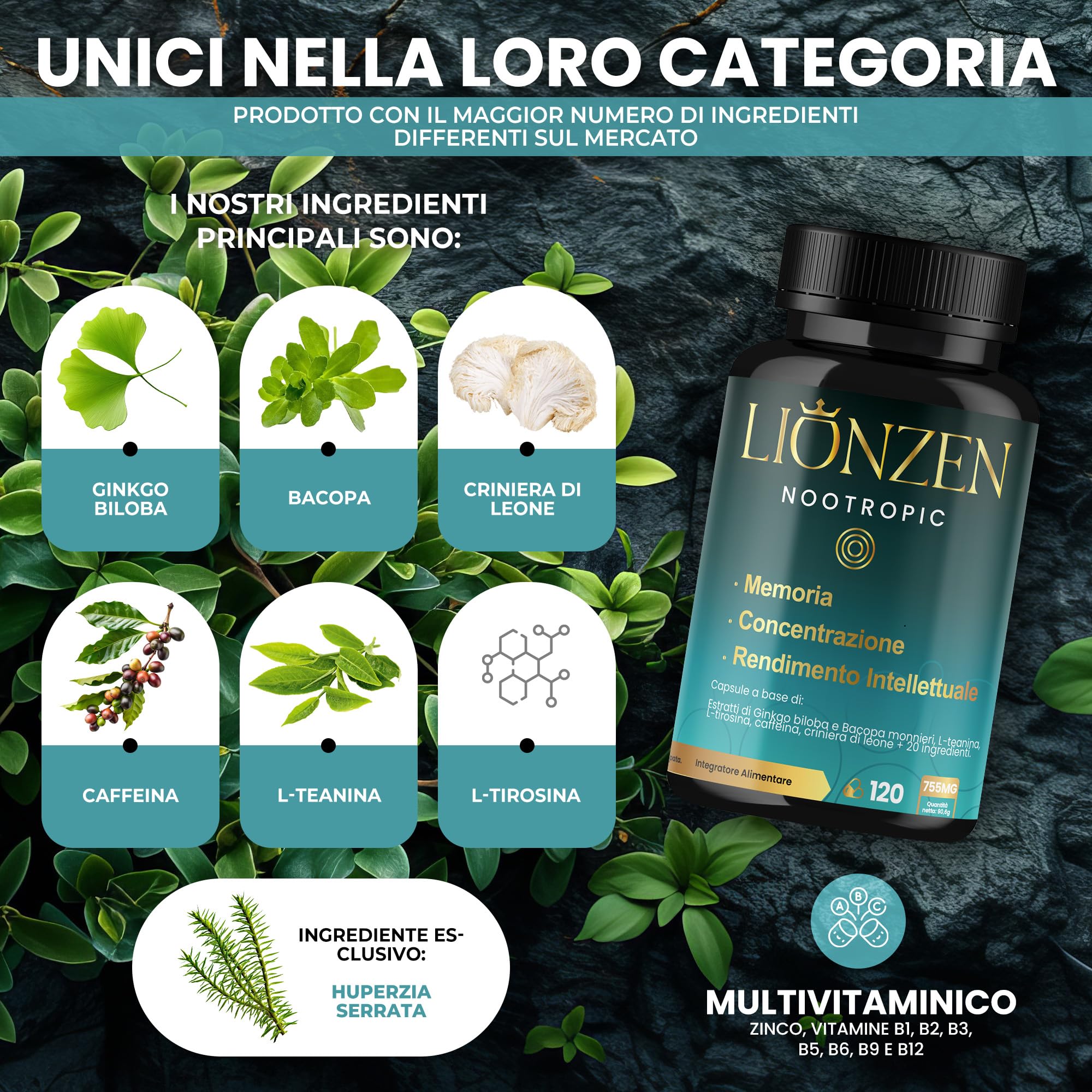 Nootropico concentrato Memoria e Concentrazione | +23 ingredienti naturali: Bacopa, Ginkgo Biloba, Caffeina, Hericium Erinaceus, Vitamine, Magnesio, L-Tirosina, Ashwagandha, Ginseng