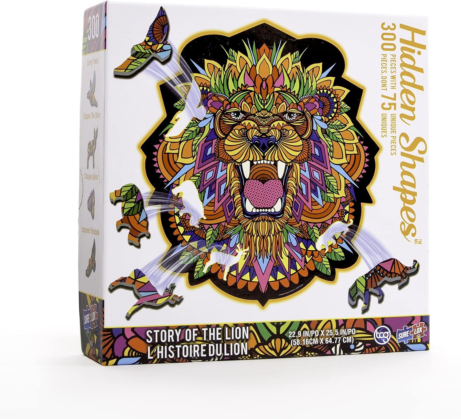 Amazon.com: TCG Toys: Hidden Shapes